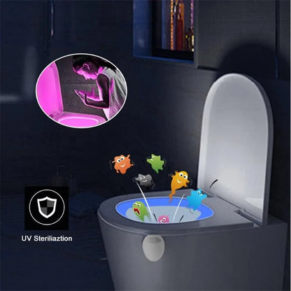 Toilet Night Light for Bathroom | Motion Sensor, Adjustable Color, USB Rechargeable